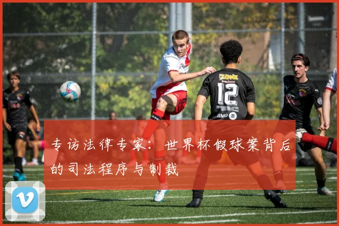 专访法律专家：世界杯假球案背后的司法程序与制裁