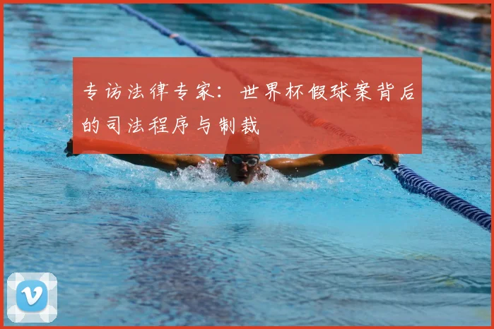 专访法律专家：世界杯假球案背后的司法程序与制裁
