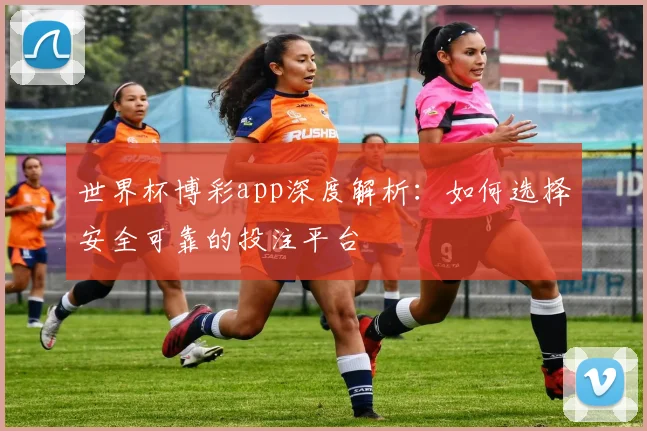 世界杯博彩app深度解析:如何选择安全可靠的投注平台