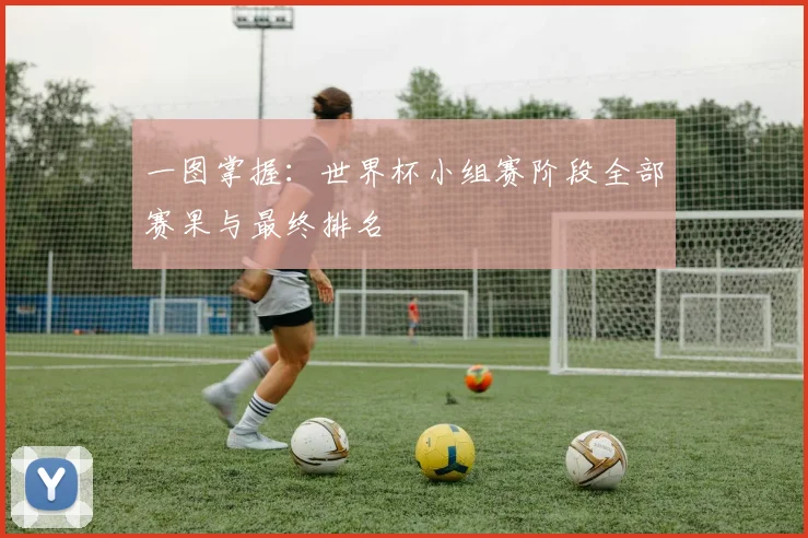 一图掌握：世界杯小组赛阶段全部赛果与最终排名