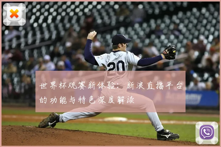 世界杯观赛新体验：新浪直播平台的功能与特色深度解读