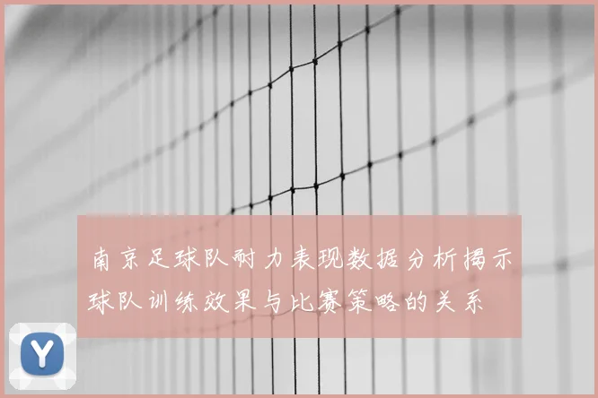 南京足球队耐力表现数据分析揭示球队训练效果与比赛策略的关系