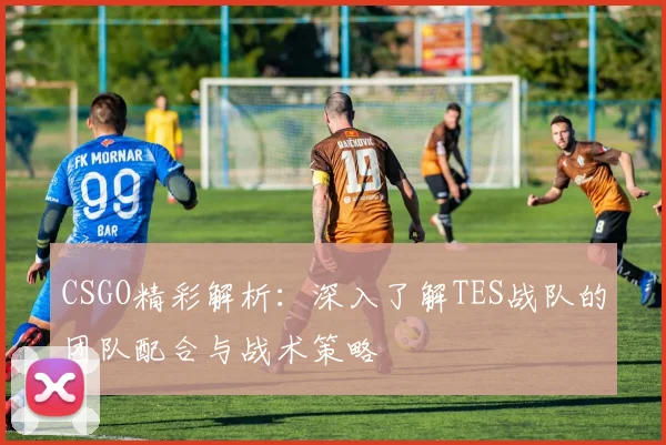 CSGO精彩解析：深入了解TES战队的团队配合与战术策略