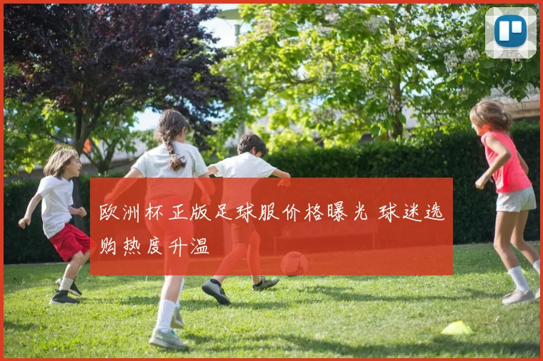 欧洲杯正版足球服价格曝光 球迷选购热度升温