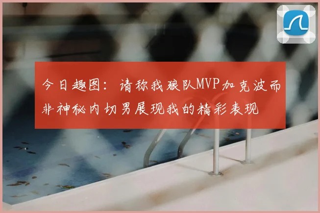 今日趣图:请称我狼队MVP加克波而非神秘内切男展现我的精彩表现
