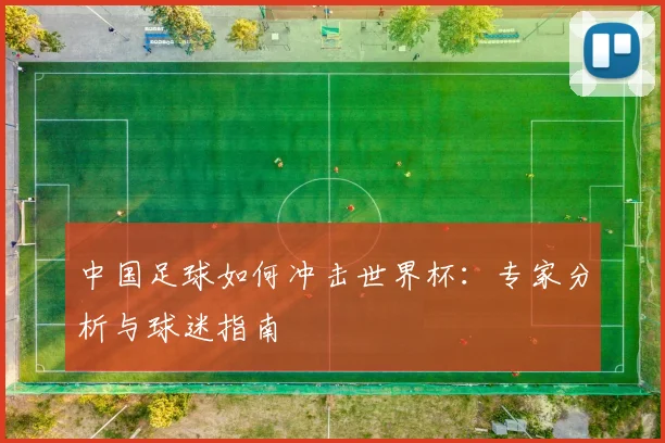 中国足球如何冲击世界杯：专家分析与球迷指南