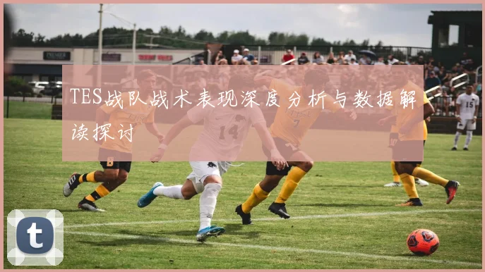 TES战队战术表现深度分析与数据解读探讨