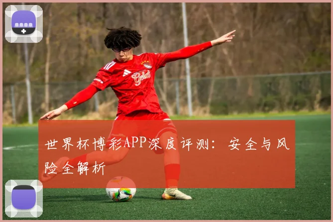 世界杯博彩APP深度评测:安全与风险全解析