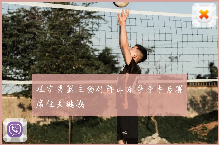 辽宁男篮主场对阵山东争夺季后赛席位关键战