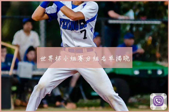 世界杯小组赛分组名单揭晓