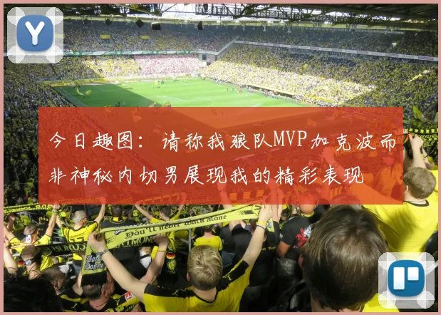今日趣图:请称我狼队MVP加克波而非神秘内切男展现我的精彩表现