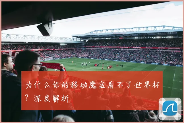 为什么你的移动魔盒看不了世界杯？深度解析