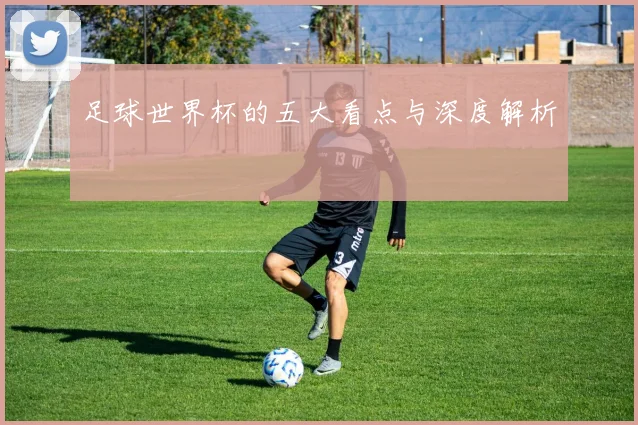 足球世界杯的五大看点与深度解析